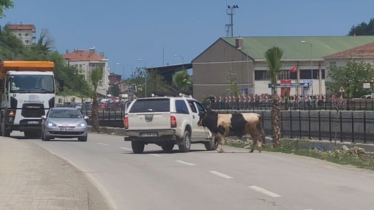 Inebolu Firardaki Kurbanlıktan Yeni Görüntü (5)