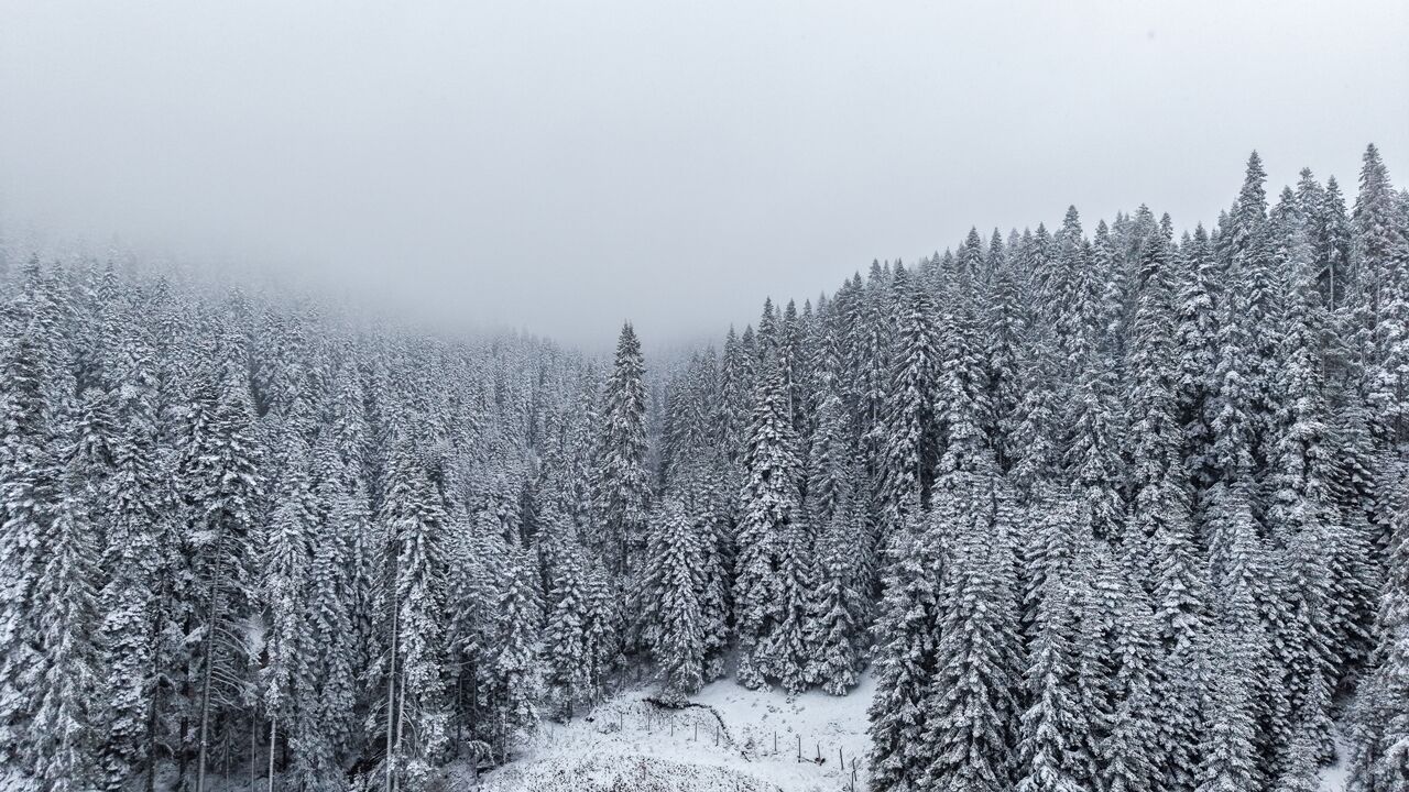Kastamonu Da Mayısta Kar Manzarası (6)
