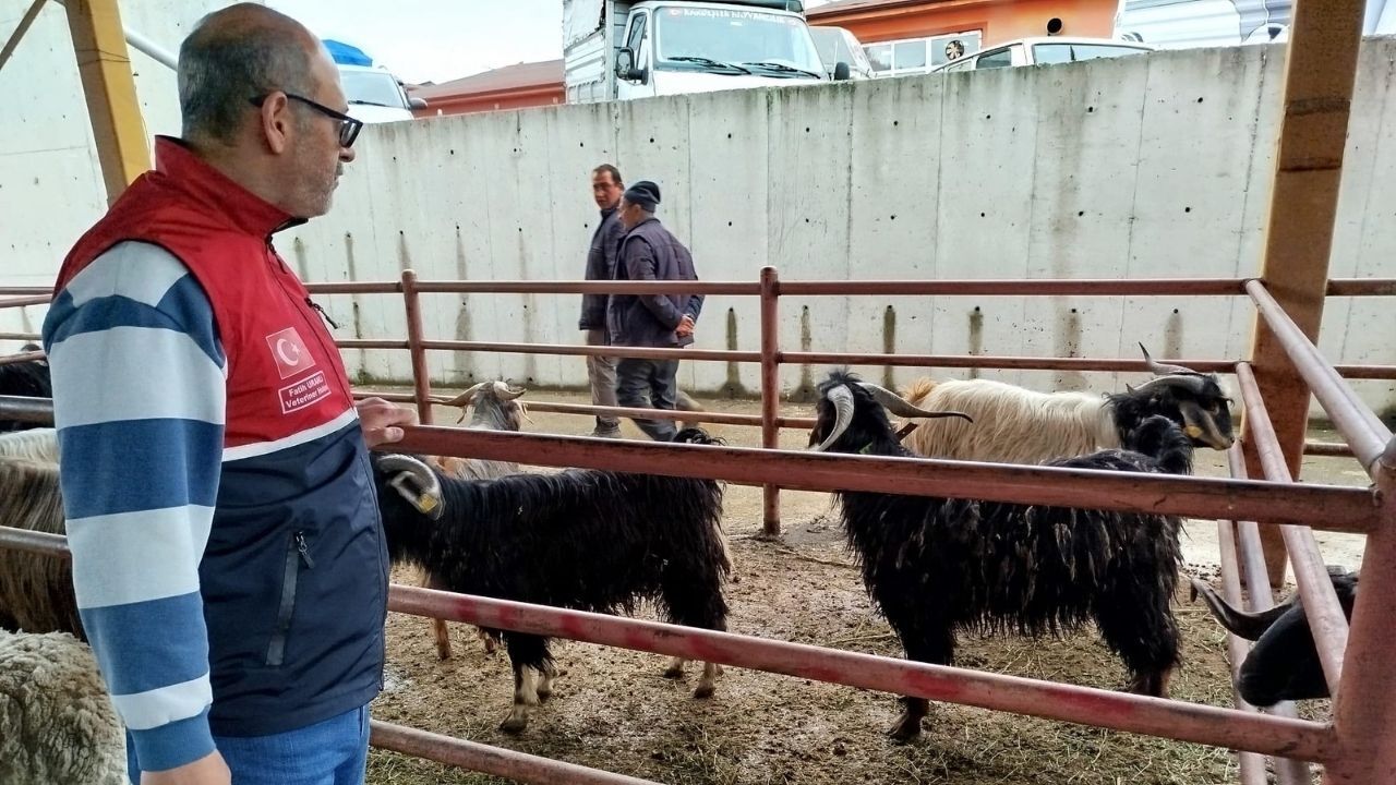 Kastamonu Hayvan Pazarı (2)-1