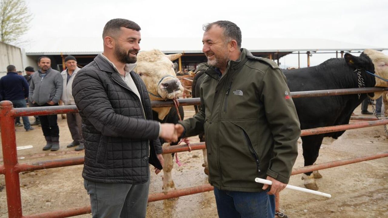 Kastamonu Hayvan Pazarı Hareketlendi (1)