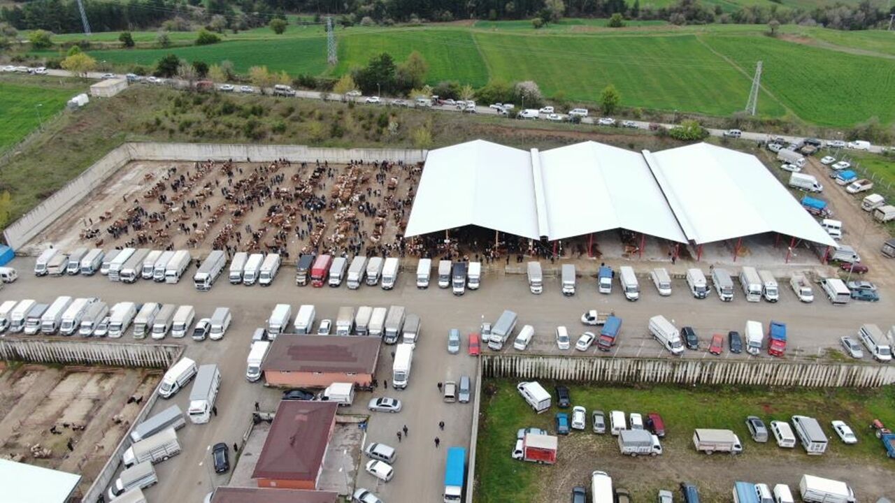 Kastamonu Hayvan Pazarı Hareketlendi (4)