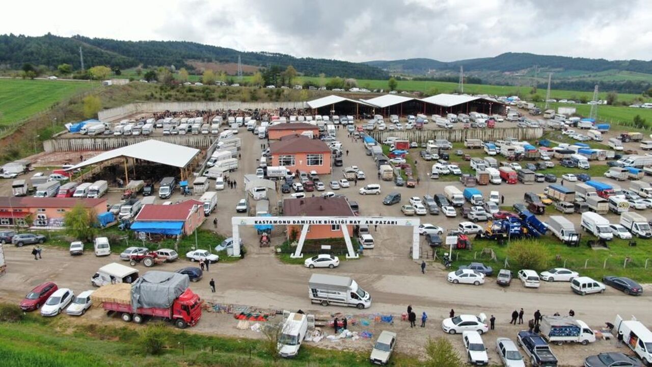 Kastamonu Hayvan Pazarı Hareketlendi (6)