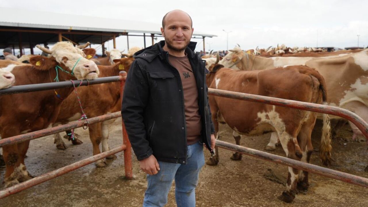 Kastamonu Hayvan Pazarı Hareketlendi (7)