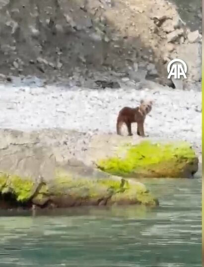 Kastamonu Sahil Sürpriz Misa (2)