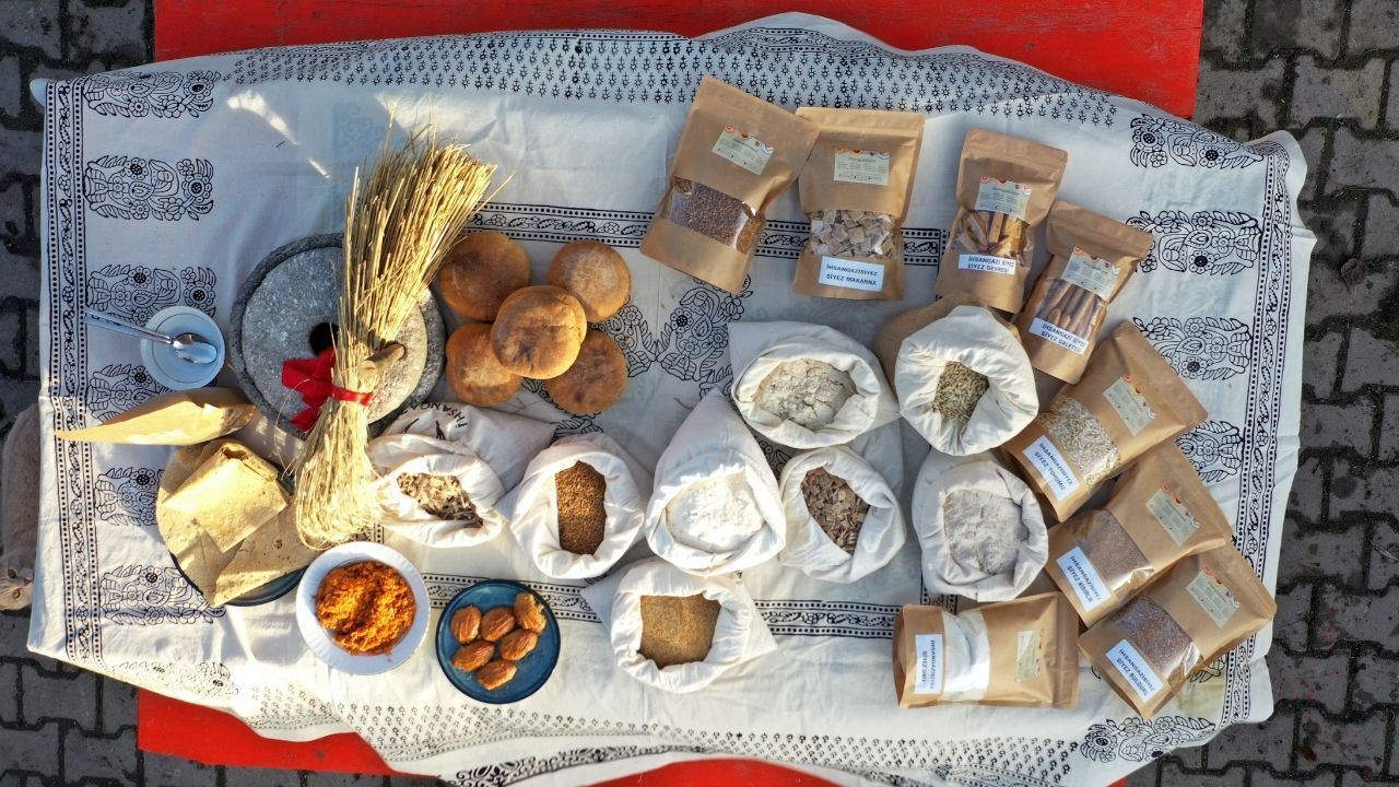 Kastamonu Siyezi İtalya Yolunda Buz Adam Ötzi’nin Yanında Sergilenmek Üzere Gönderildi (2)