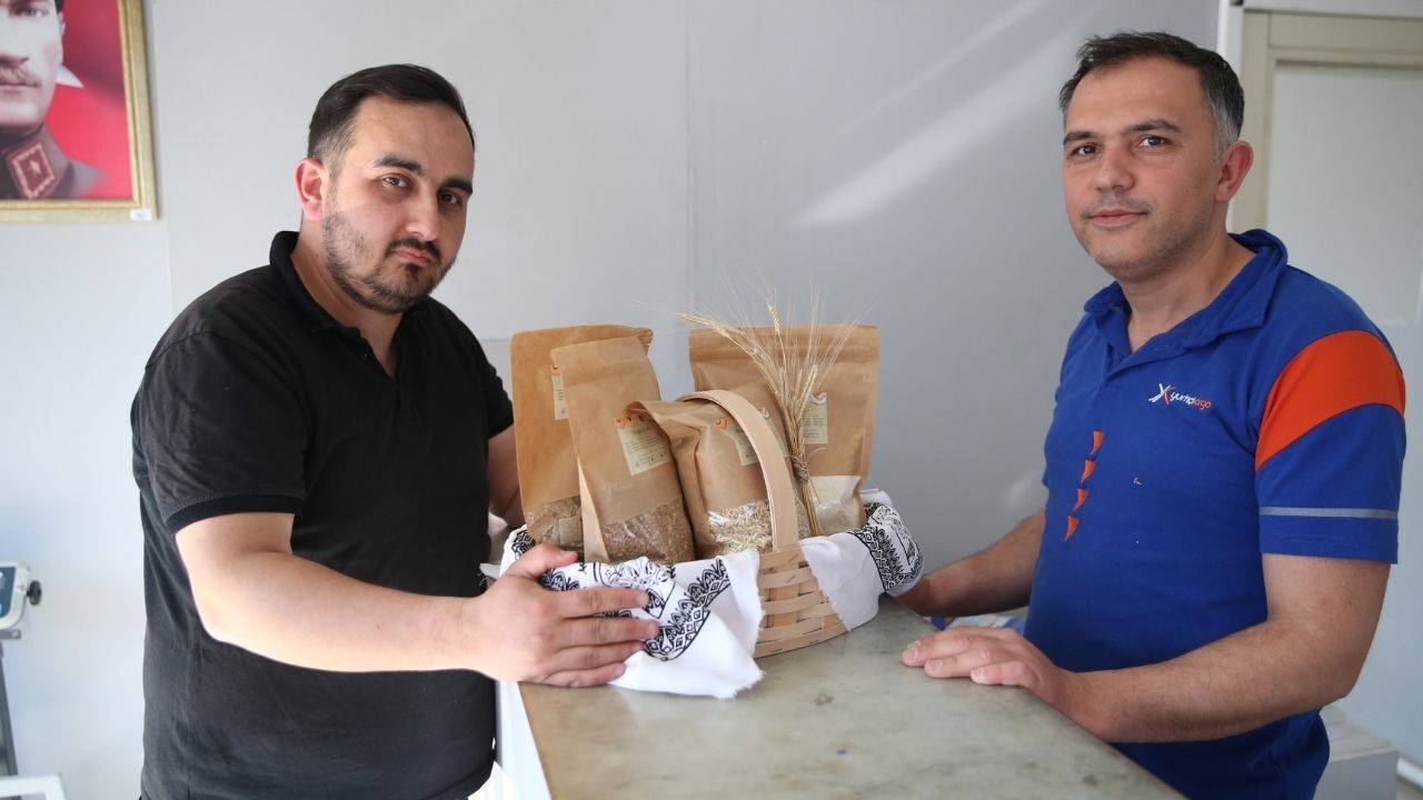 Kastamonu Siyezi İtalya Yolunda Buz Adam Ötzi’nin Yanında Sergilenmek Üzere Gönderildi (4)
