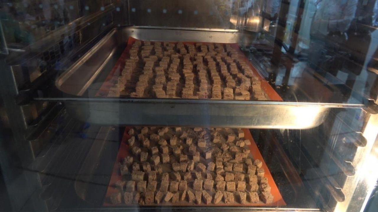 Kastamonu Üniversitesinde Geliştirildi Yöresel Tat Artık Glutensiz (4)