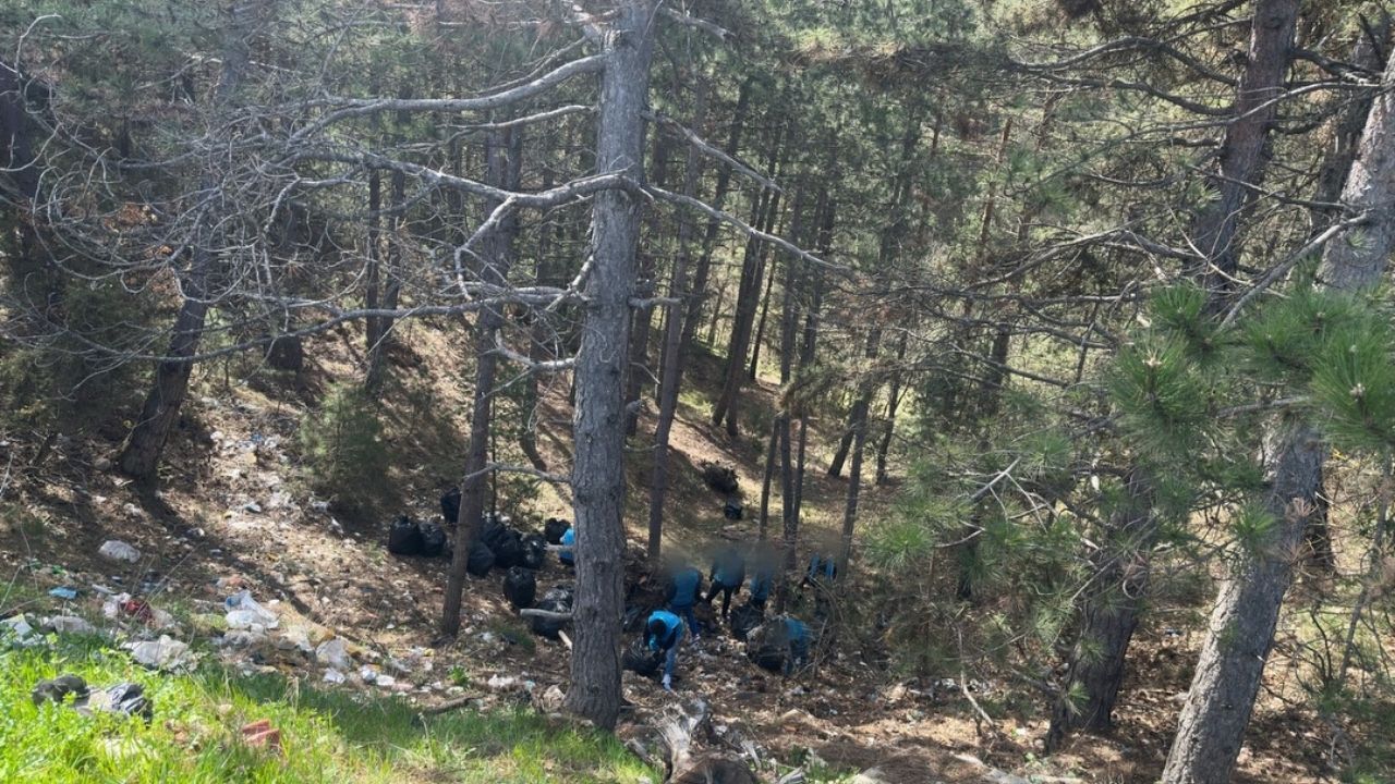 Kastamonu’da Kirletilen Alan Yeniden Doğaya Kazandırıldı (1)