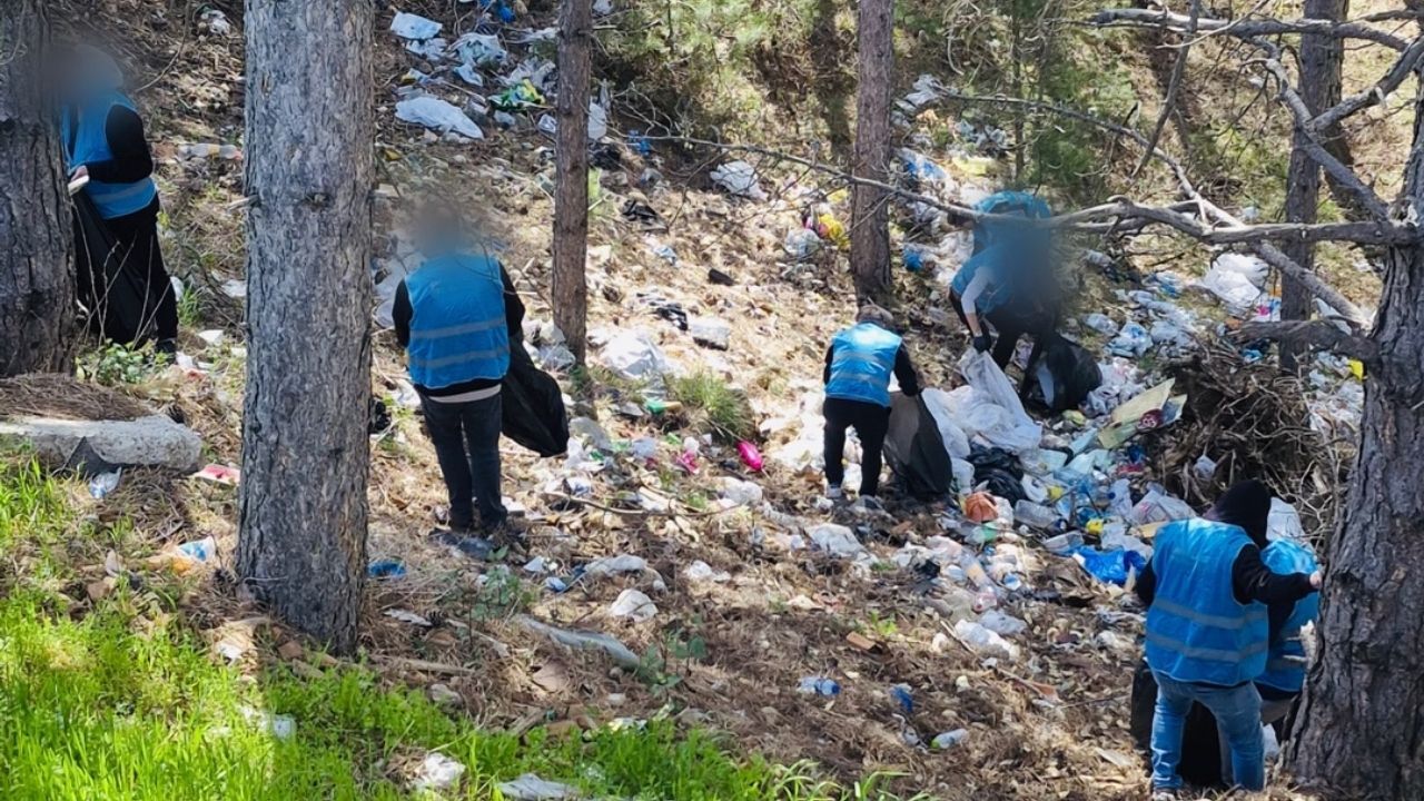 Kastamonu’da Kirletilen Alan Yeniden Doğaya Kazandırıldı (2)