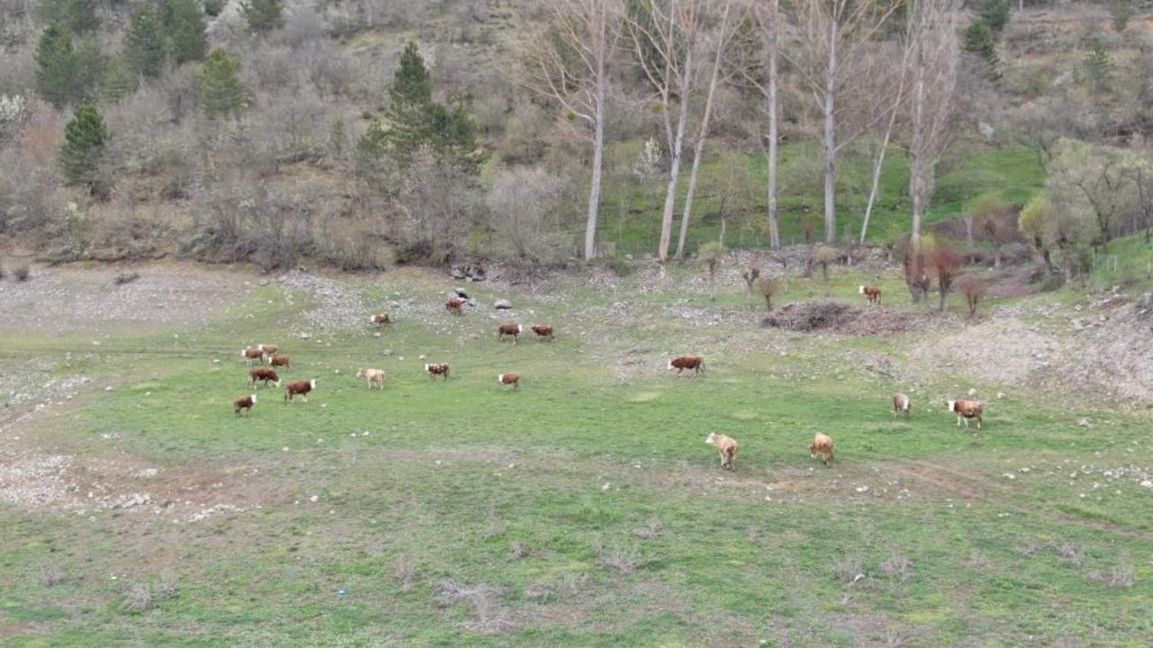 Kastamonu’da Korkutan Tablo Barajda Sadece 5 6 Aylık Su Kaldı (3)