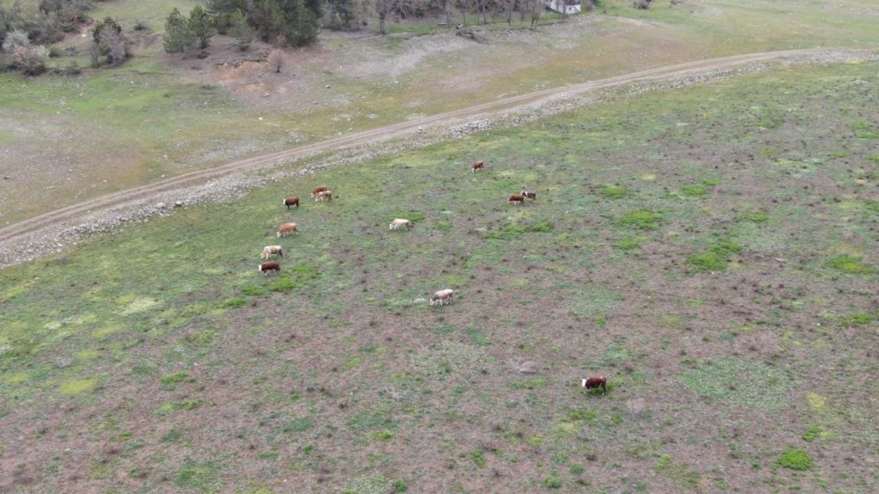 Kastamonu’da Korkutan Tablo Barajda Sadece 5 6 Aylık Su Kaldı (4)