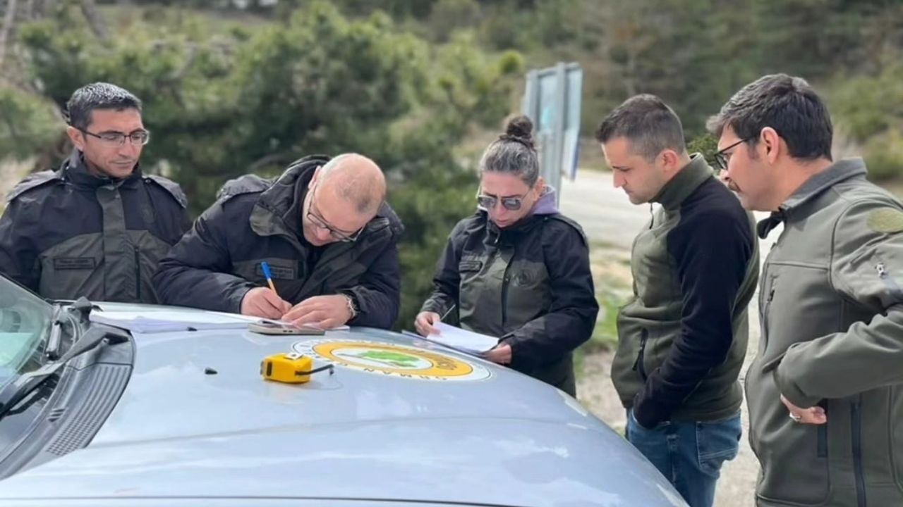 Kastamonu’da Orman Kaçakçılığına Geçit Yok (2)