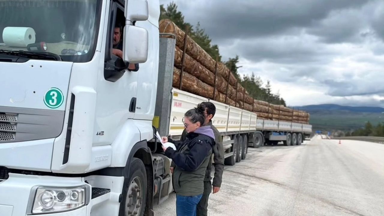 Kastamonu’da Orman Kaçakçılığına Geçit Yok (3)
