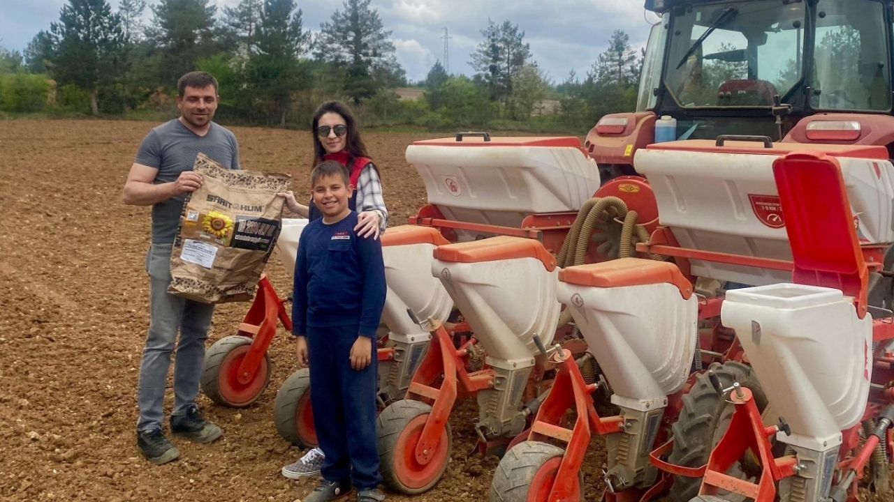 Kastamonu’da Yerli Ayçiçeği Tohumu Için Deneme Ekimi Yapıldı (1)