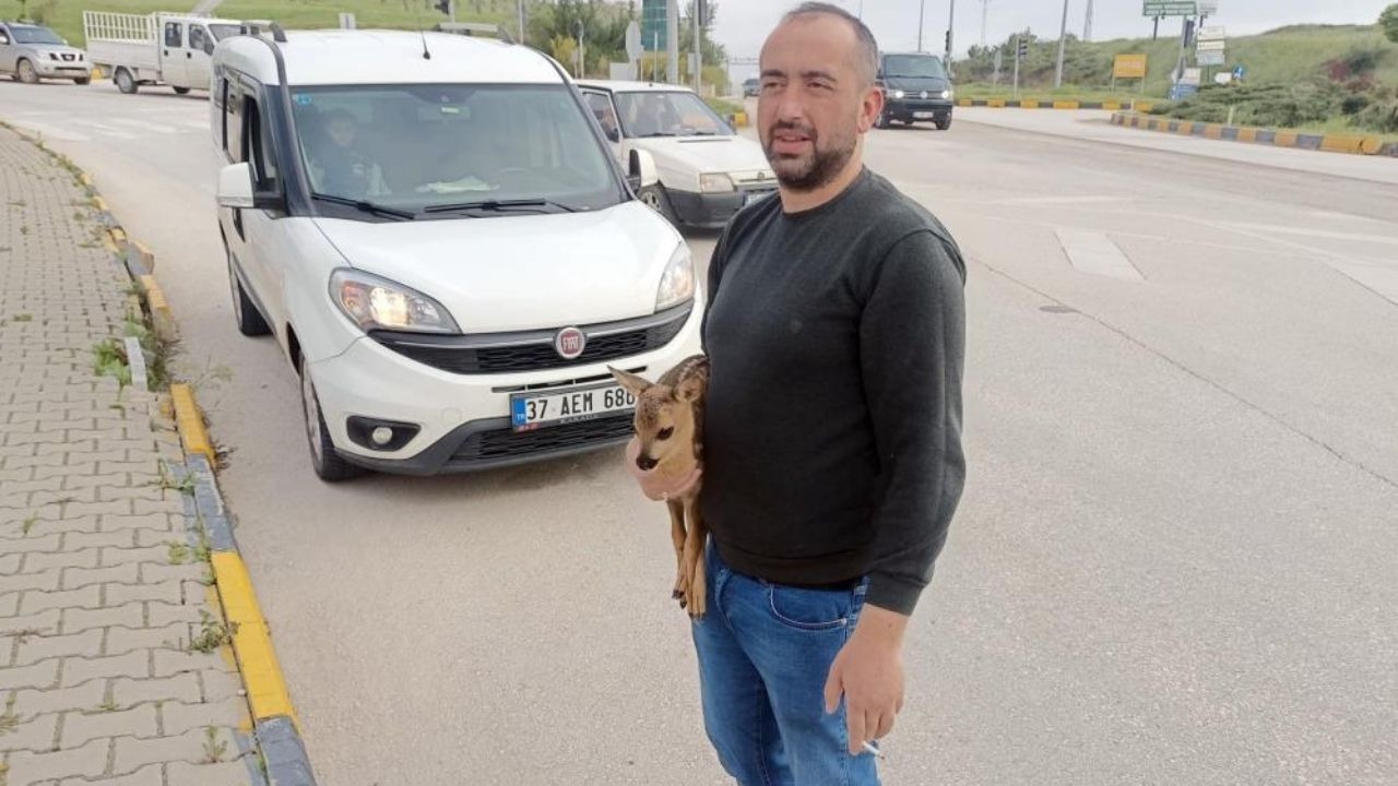 Kastamonu’da Yürek Isıtan Kurtarma Yavru Karaca Tedaviye Alındı (1)