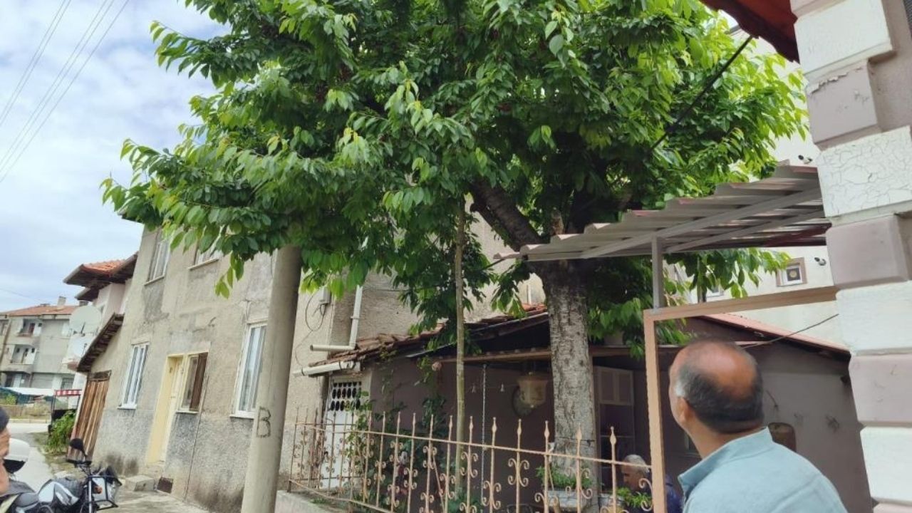 Kiraz Ağacına Çıktı, Demir Korkuluklara Düşerek Öldü (2)