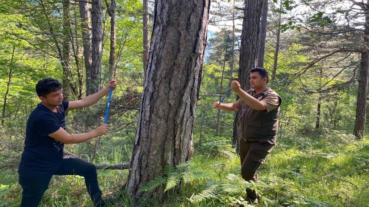 Küre Dağları Inceleme (1)