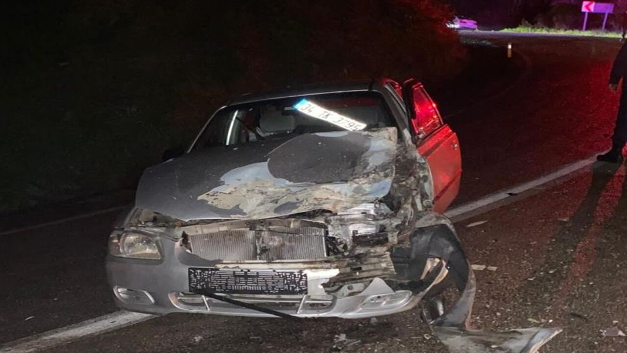 Kurtarmak Için Yola Çıktı Yolda Kaldı (2)