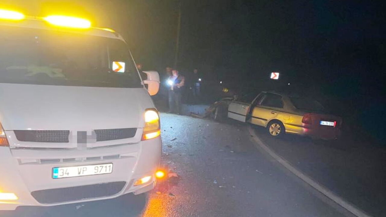 Kurtarmak Için Yola Çıktı Yolda Kaldı (4)