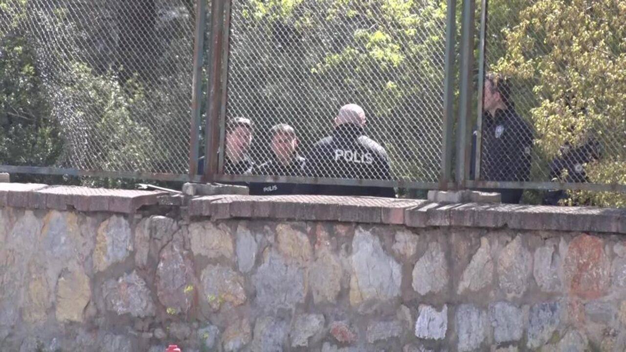 Ormanda Cansız Beden (1)