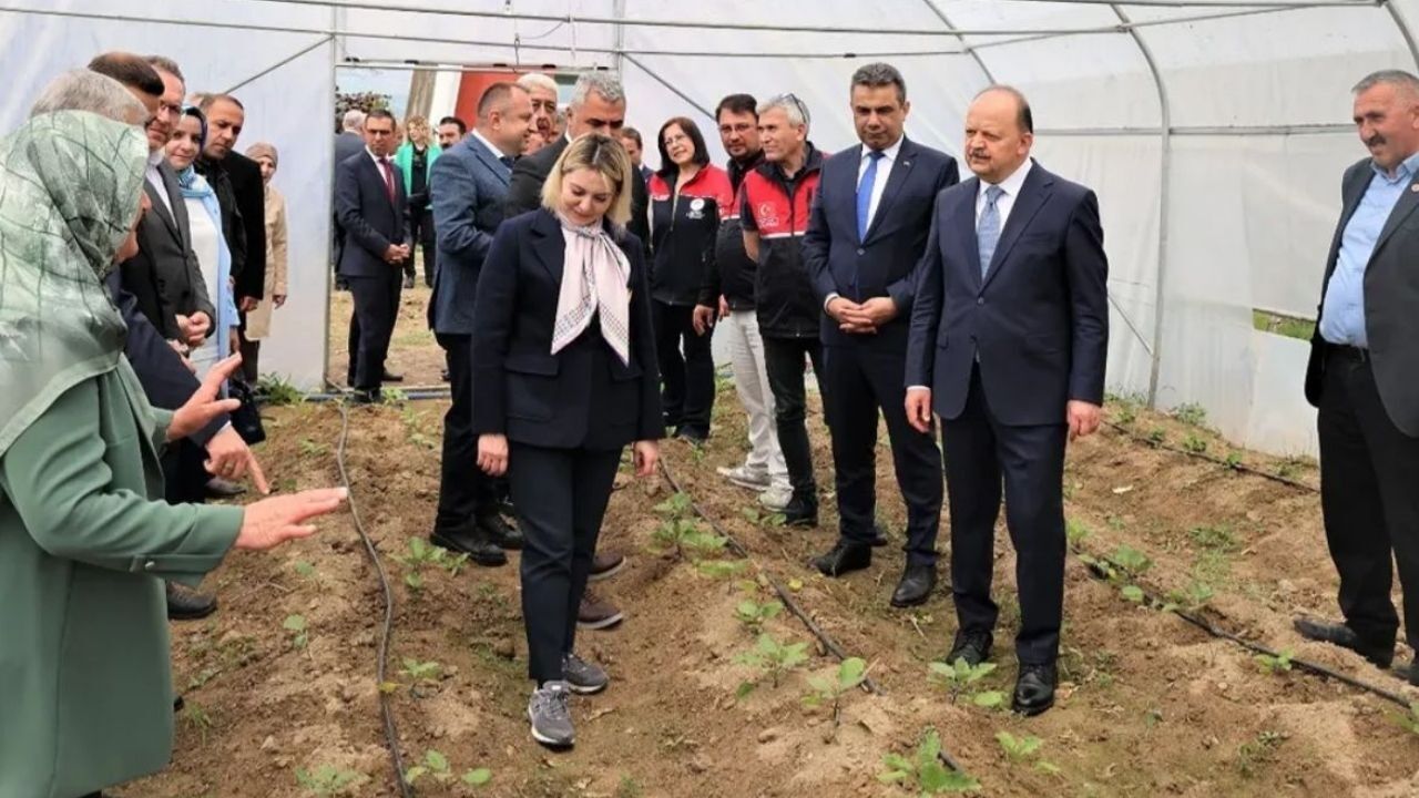 Şeker Anaokulu (2)