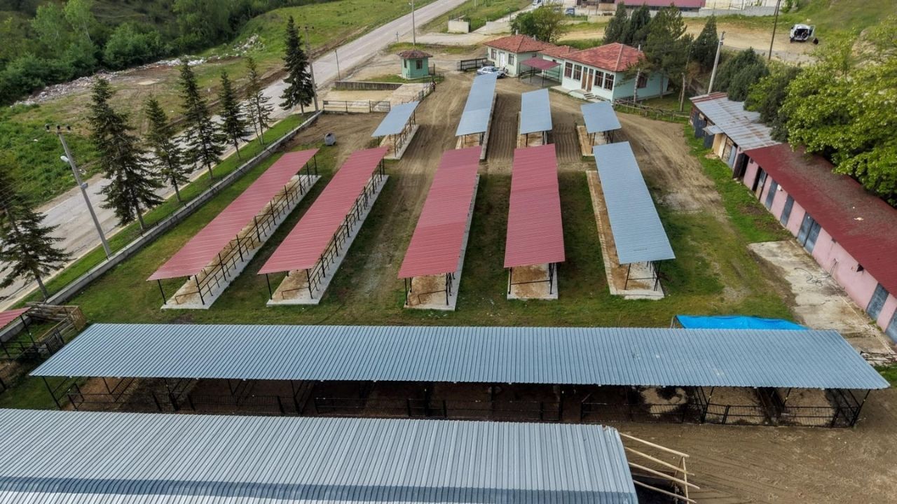 Taşköprü (1)-2
