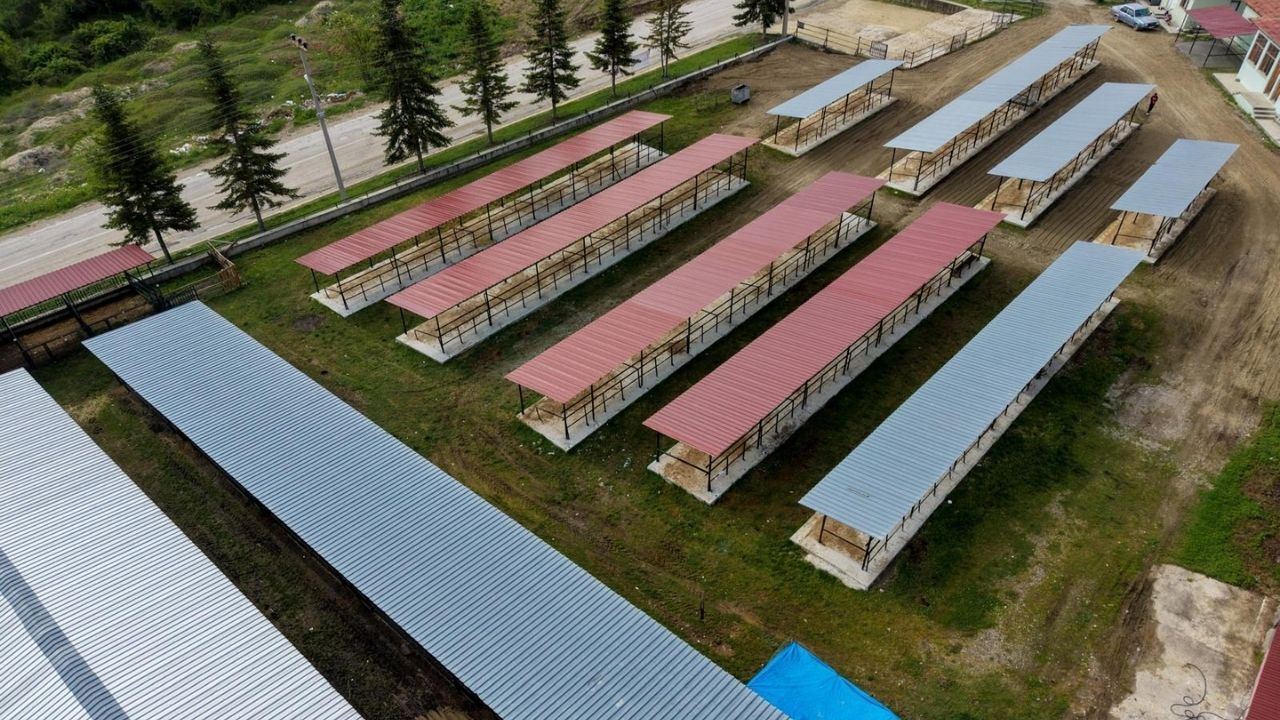 Taşköprü (3)-1