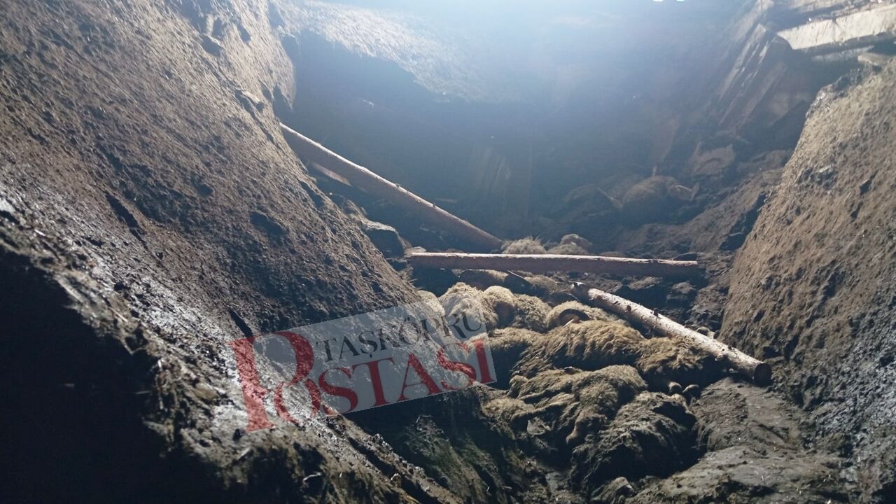 Taşköprü Ahır Çöktü Bozarmut (5)