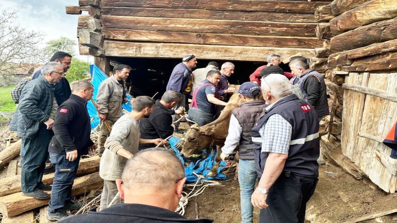 Taşköprü Bozarmut Göçük Kurtarma (1)