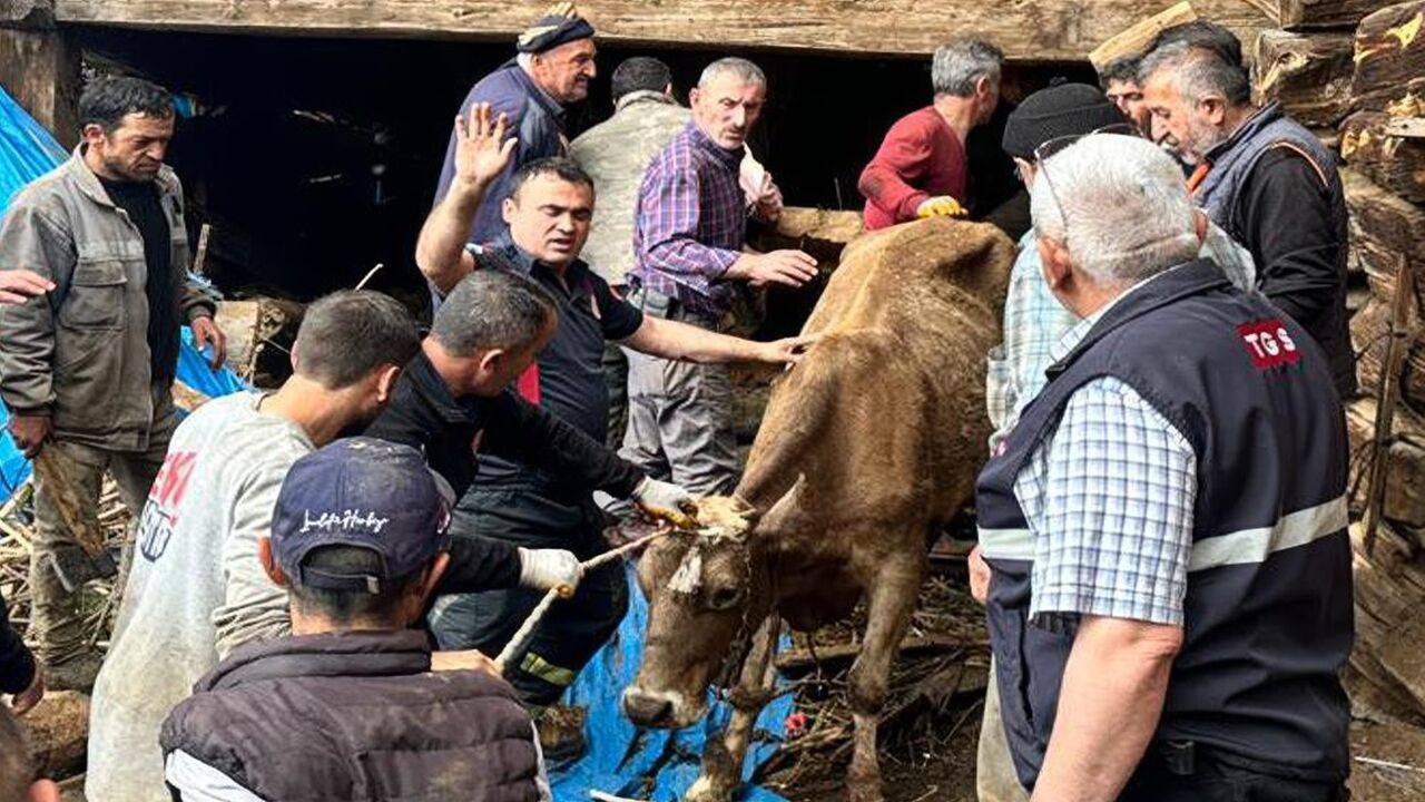 Taşköprü Bozarmut Göçük Kurtarma (2)