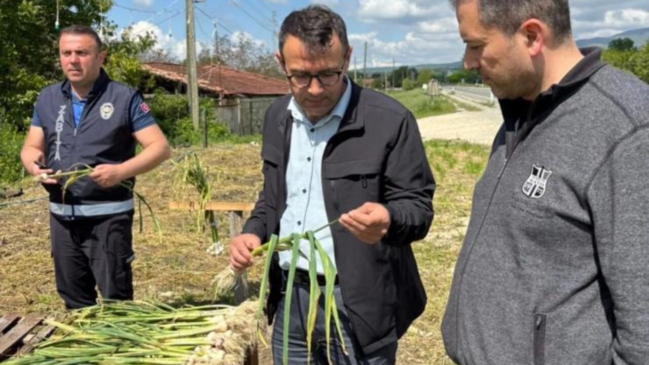 Taşköprü Sarımsağında Sahte Ürün Uyarısı “Etiket Zorunlu Olacak” (1)