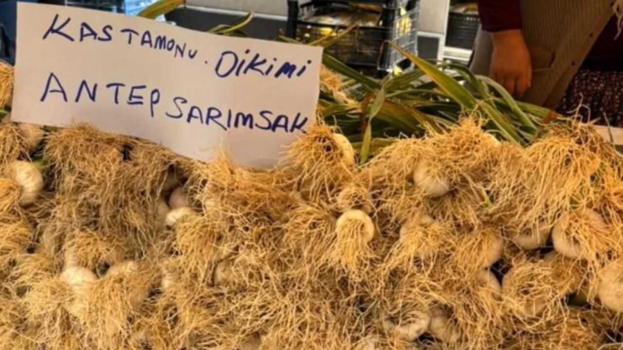 Taşköprü Sarımsağında Sahte Ürün Uyarısı “Etiket Zorunlu Olacak” (2)