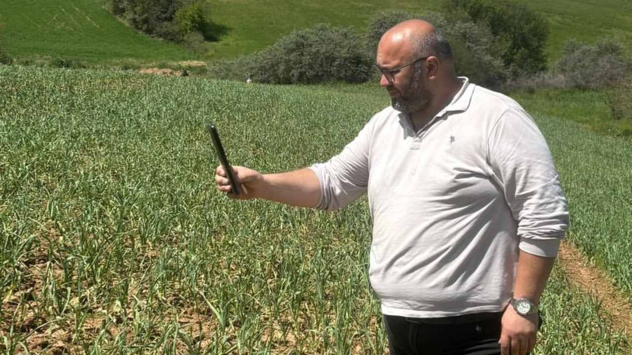Taşköprü Sarımsağını Dolu Vurdu Hasar Büyük (1)