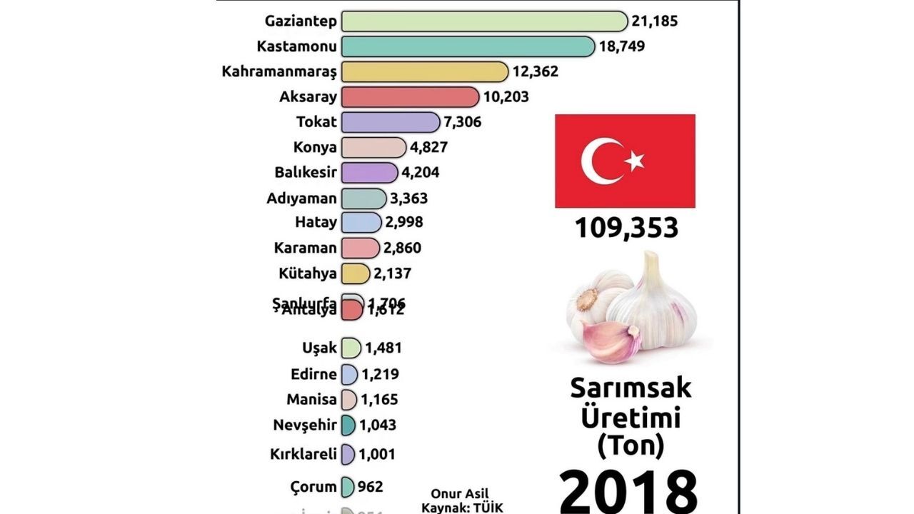 Tüik Sarımsak