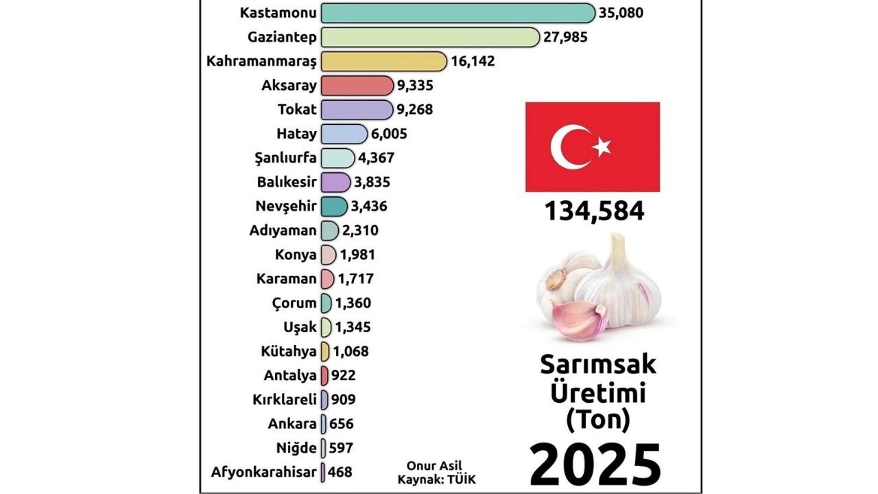 Tüik Sarımsak2