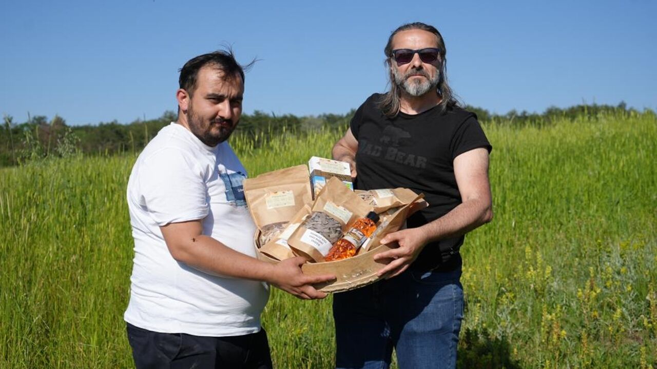 12 Bin Yıllık Bugday Kastamoru (2)