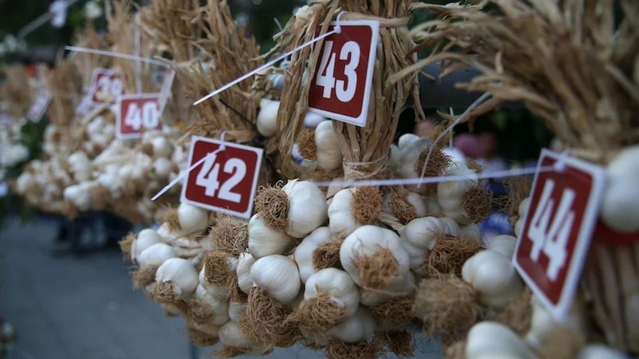 2026 Uluslararası Taşköprü Kültür Ve Sarımsak Festivali Ne Zaman, Nerede Düzenlenecek (3)