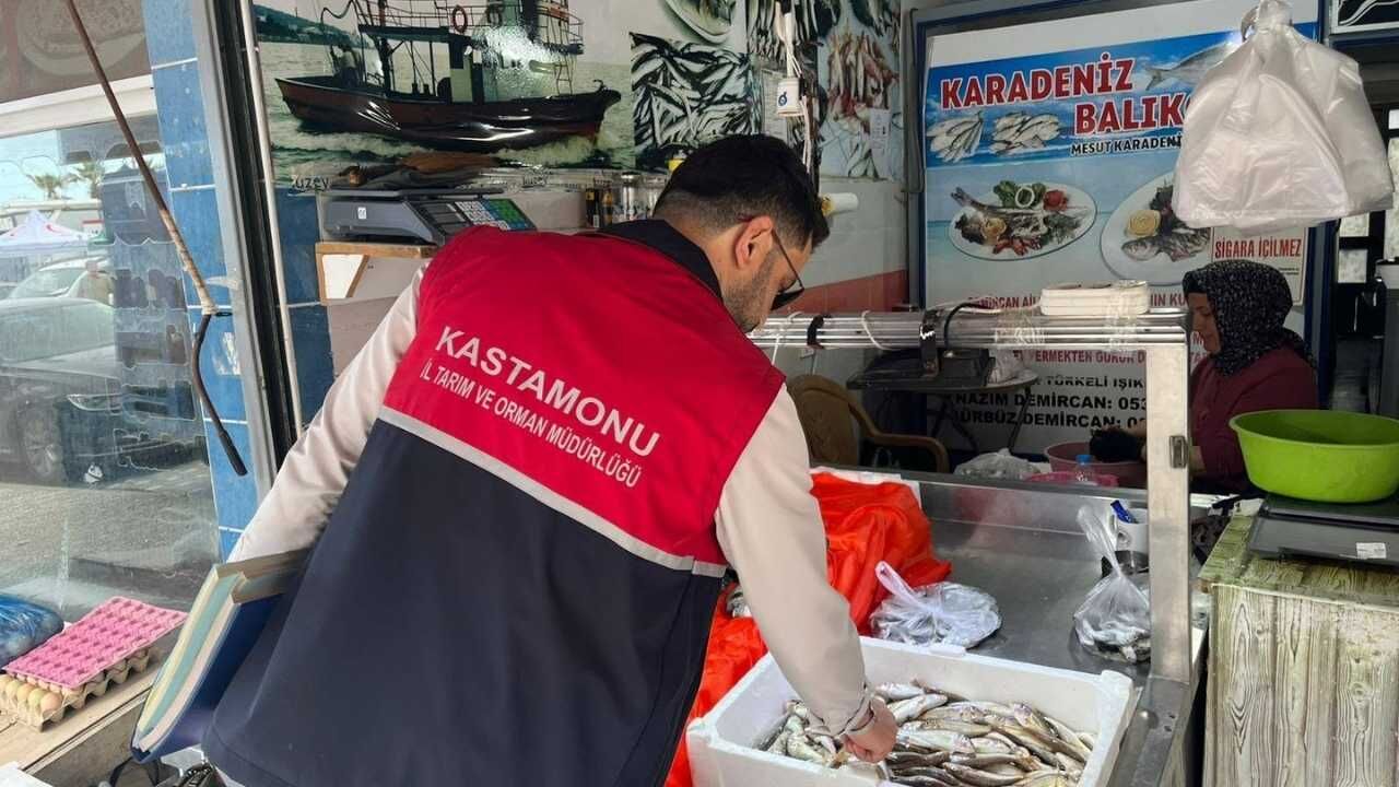 Çatalzeytin Denetim (2)-4