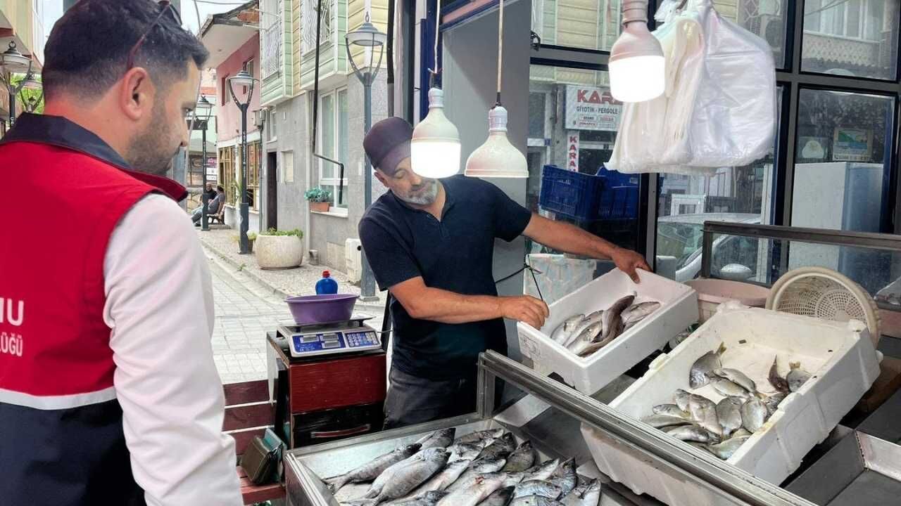Çatalzeytin Denetim (3)-4