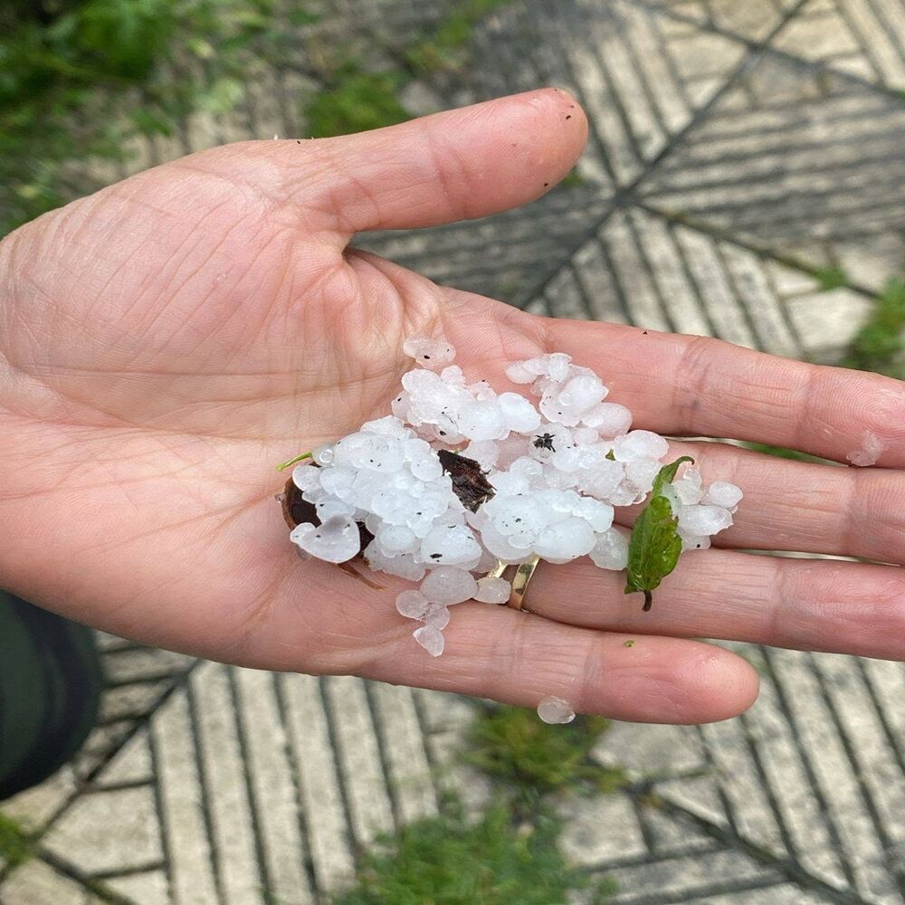 Daday Dolu Yağıyı Sel (5)