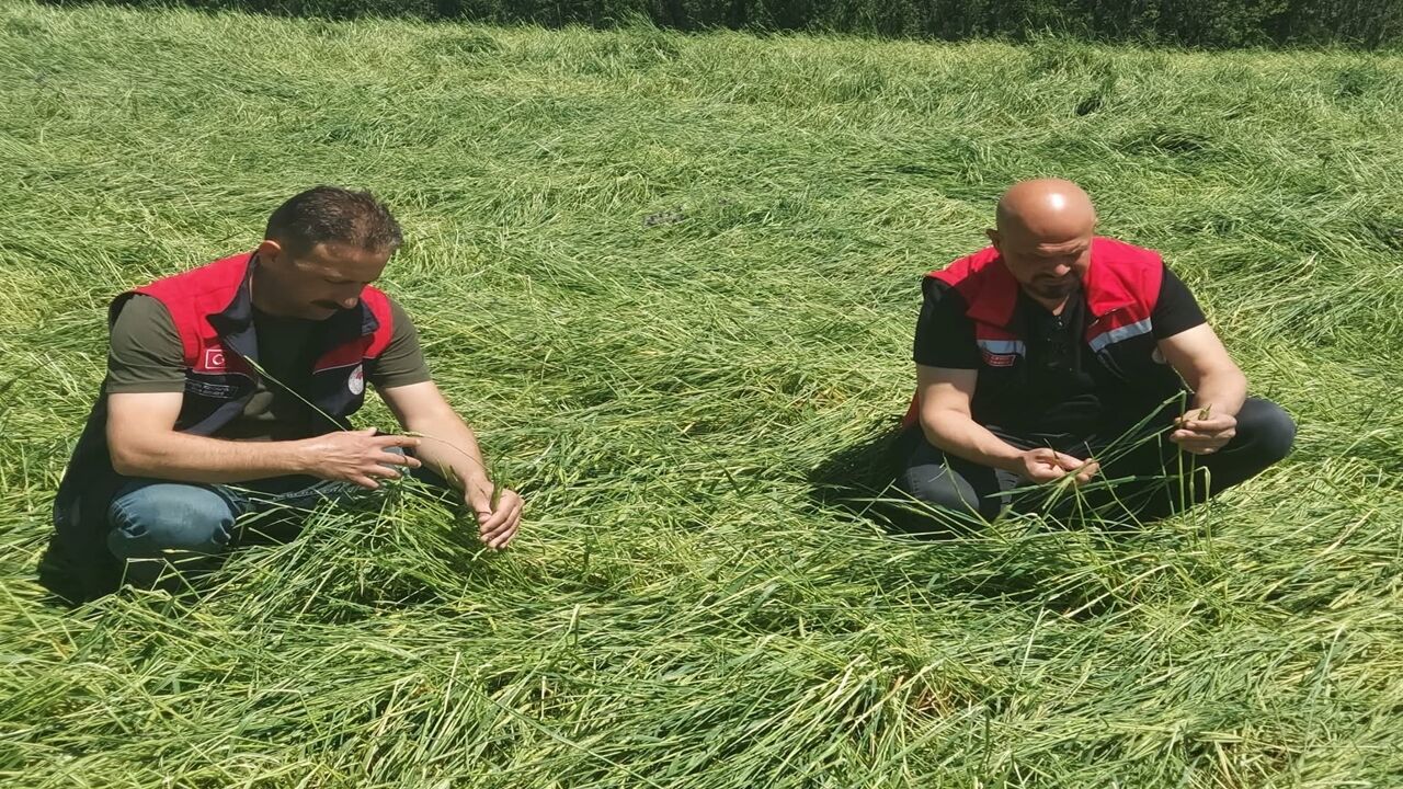 Daday Tarım Inceleme Dolu (2)