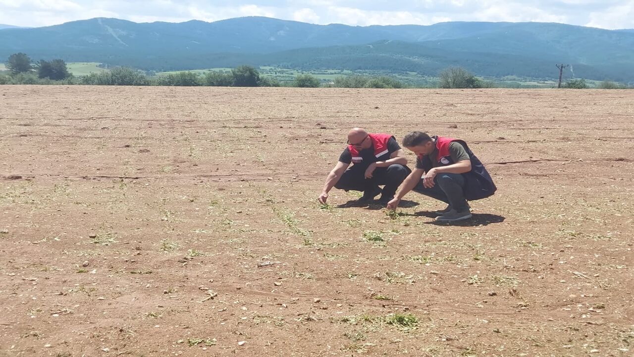 Daday Tarım Inceleme Dolu (3)