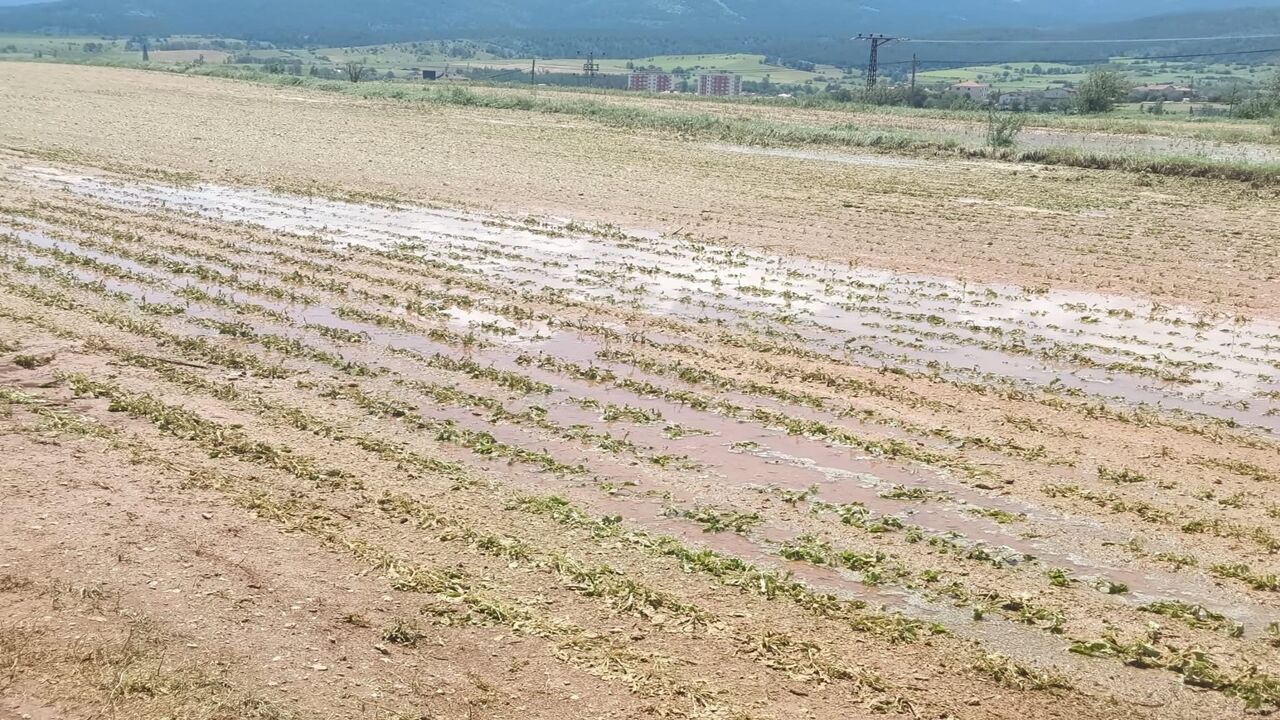 Daday Tarım Inceleme Dolu (4)