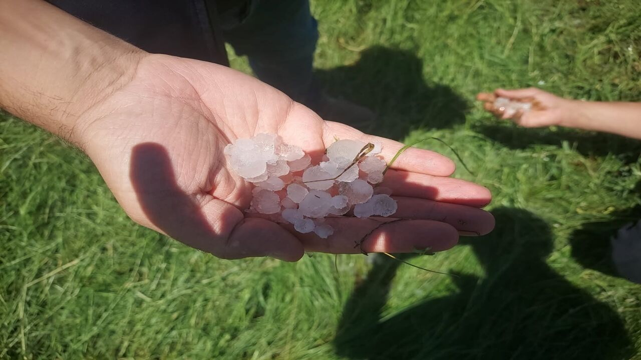 Daday Tarım Inceleme Dolu (7)