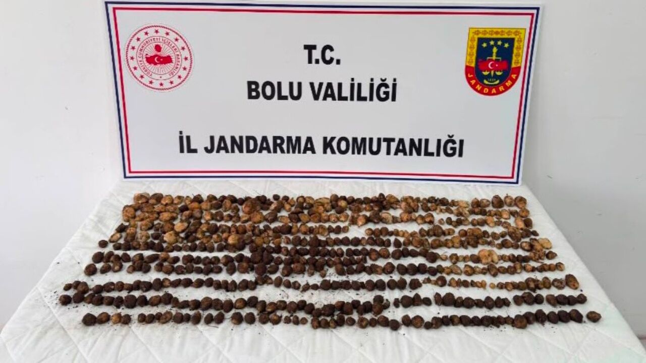 Doğadan Topladıkları 4,5 Kilo Başlarına Dert Açtı! 3 Kişiye Milyonluk Ceza