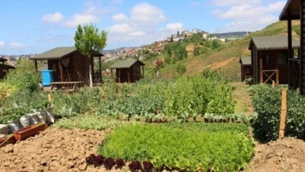 Hobi Bahçeleri Tbmm Gündeminde (3)