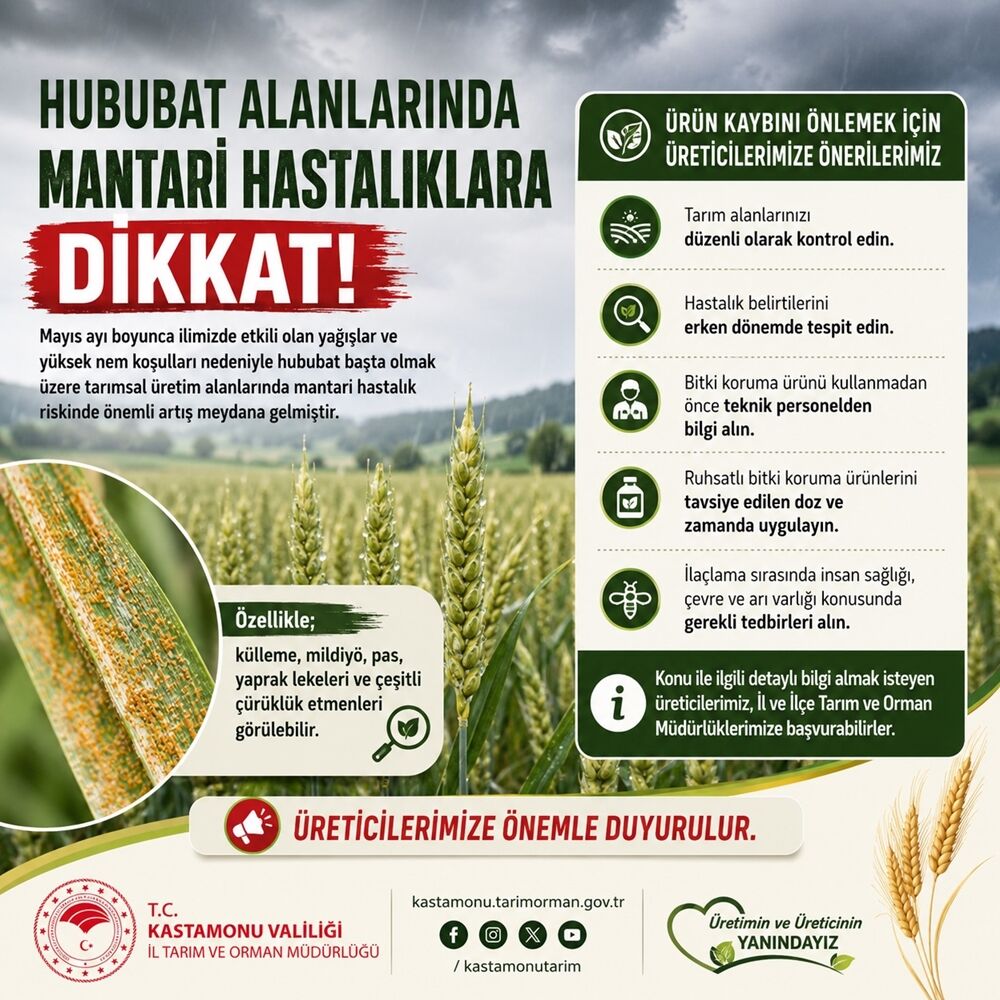 Hububat Hastalık