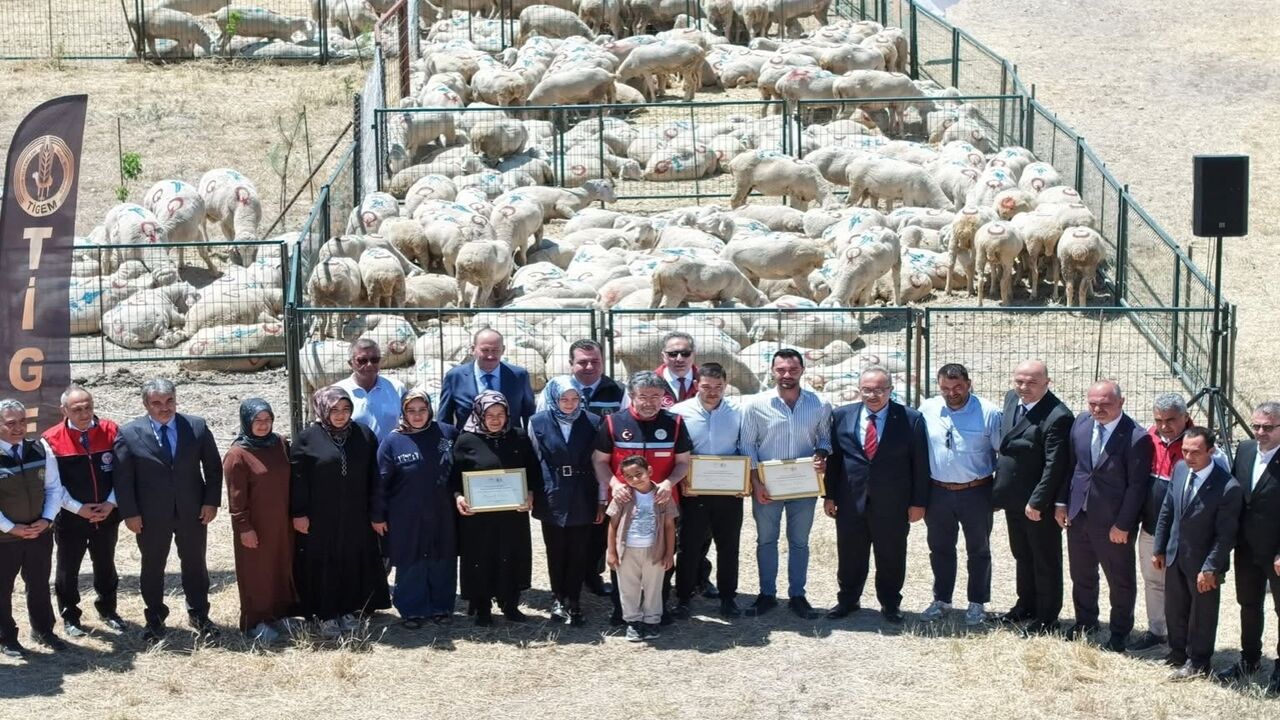 Ibrahim Yumaklı Koyun Keşi Dağıtım (4)