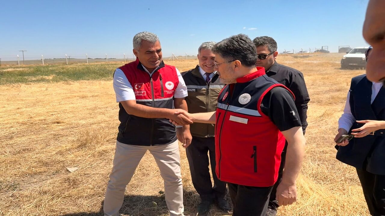 Ibrahim Yumaklı Koyun Keşi Dağıtım (7)