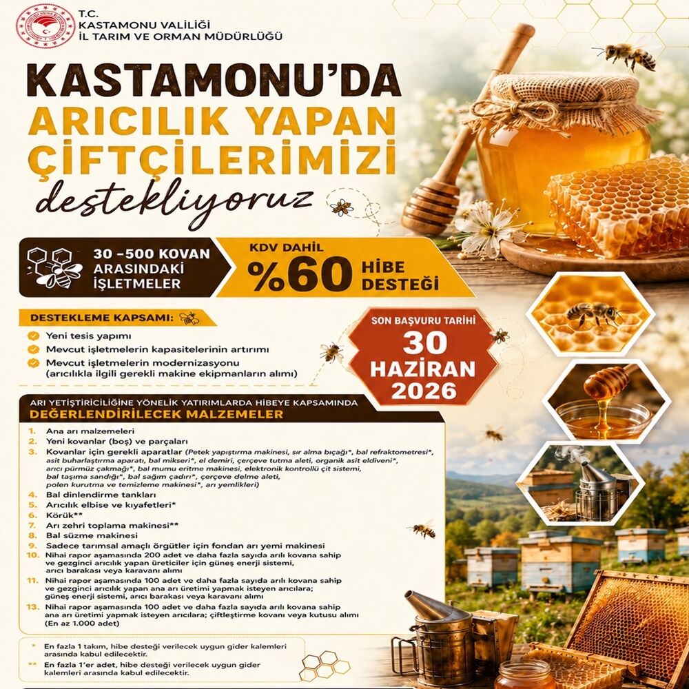 Kastamonu Da Arıcılara Müjde (1)